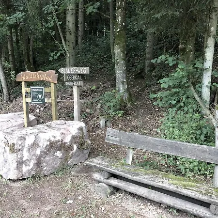 Eifel Ferienhaus Anne Ferienhaus Oberkail